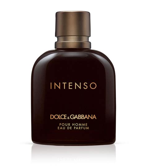 dolce gabbana intenso basenotes